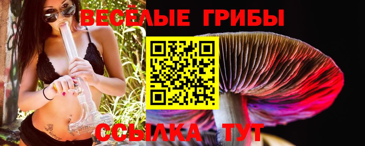 Кириши  Псилоцибиновые грибы мицелий  где найти наркотики  Вход с VPN  Псилоцибиновые грибы прущие грибы 